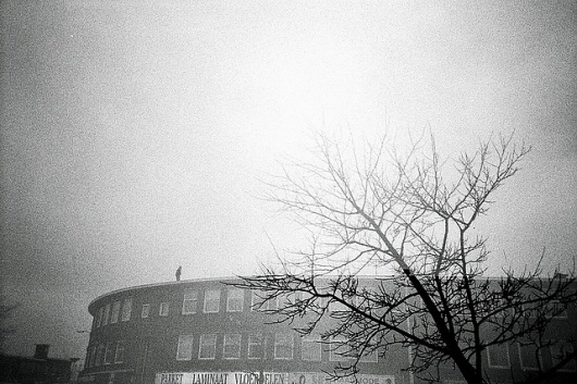 All sizes | Den Haag | Flickr - Photo Sharing! #mm #white #analog #holland #photo #35 #black #photography #film