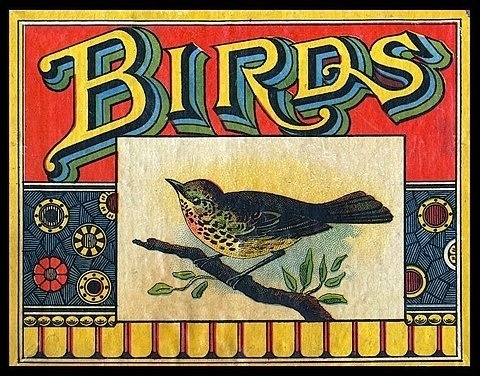 FFFFOUND! | Birds | Sheaff : ephemera #birds