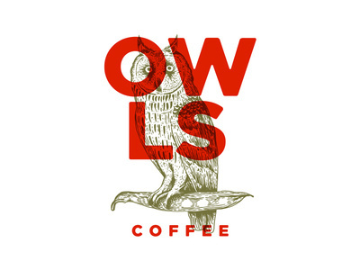 Owls Coffee #logo #owl