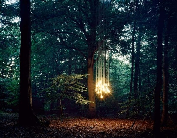 bulbs F.jpg (1152×900) #lottie #lights #illuminated #sparkly #forest #light #davies