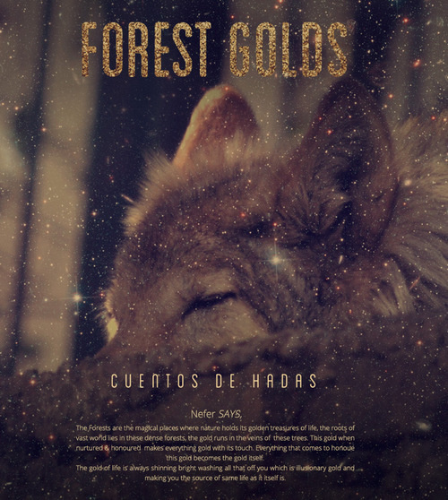 Forest Golds #wolf #forest #wild #nature #life