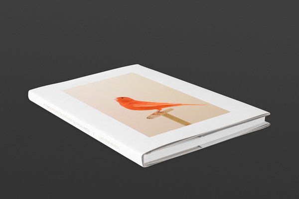 Incomplete Dictionary #incomplete #dictionary