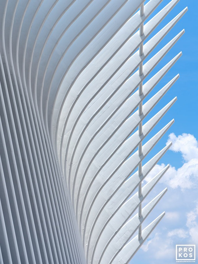 New York contemporary architectural photography by Andrew Prokos

#photography #architecture #AndrewProkos #architecturalphotography #photographers #NYC #NewYork #photo #interior #modern #contemporary #white #oculus #calatrava