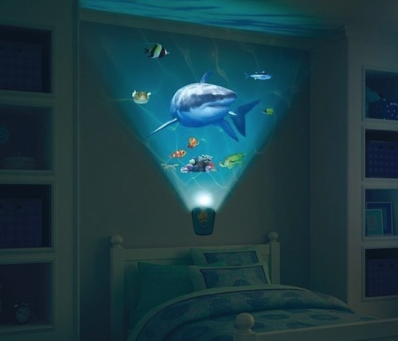 Wild Walls Shark Encounter #home