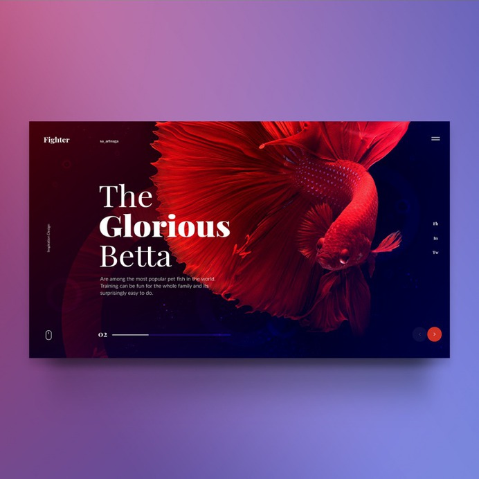 Fighter Theme – Inspiration Design