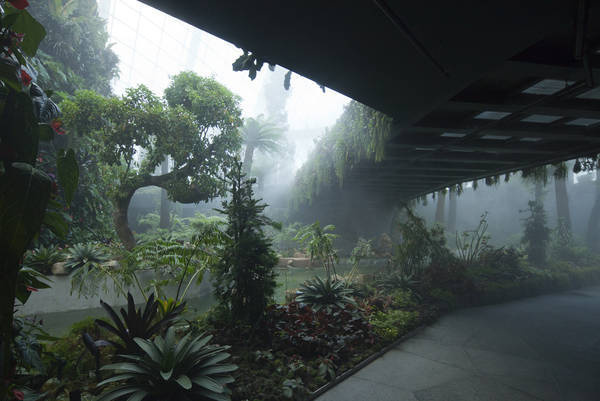 CJWHO ™ (Cooled Conservatories at Gardens by the Bay in...) #design #photography #architecture #art #garden #singapore #green