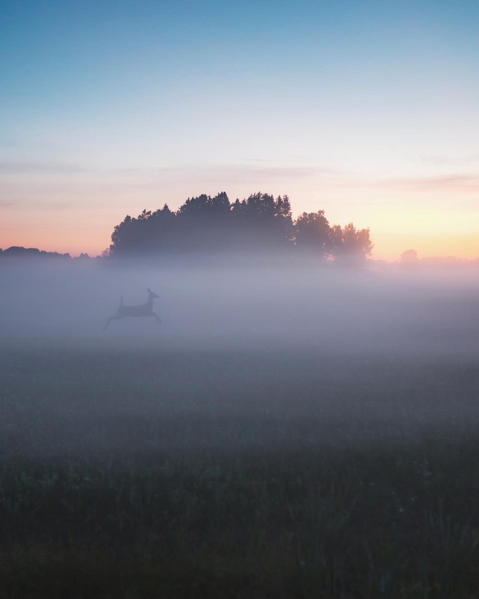 Brilliant Landscape Photography in Finland by Sami Takarautio
