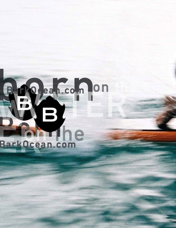 quiksilver pro, nyc 2011+ m i s c - David Carson #layout #carson #typography