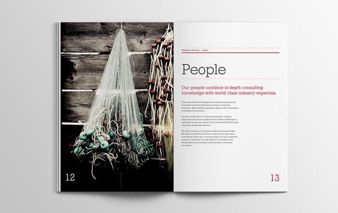 Whitespace Advisory brochure #brochure #spead #print #design