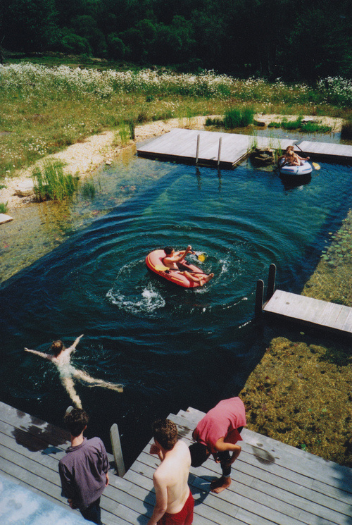 napoleonfour #pool #pond #combo #swim