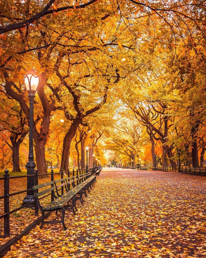 Stunning Street Photos of New York City by Sidney Chua