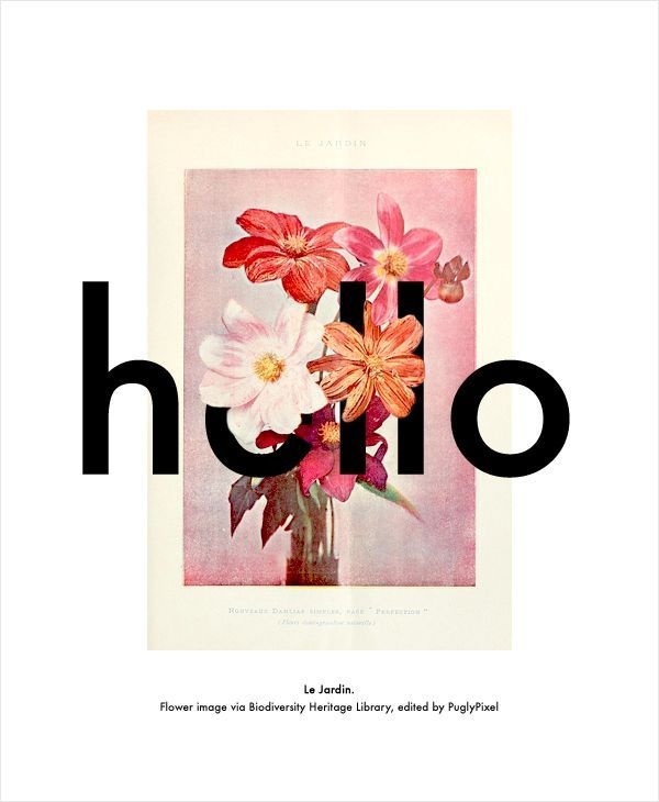 Poster inspiration example #467: hello poster #text #overlapping #poster #hello #type #postcard #collage #flowers