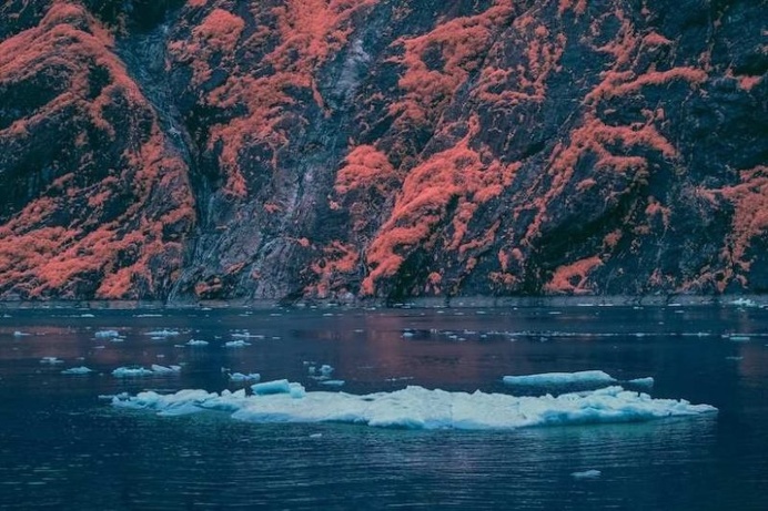 Surreal Infrared Nature Photography by Bradley G Munkowitz