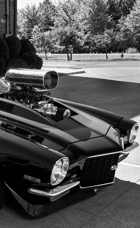 MY FEEDLY: Chevrolet Camaro