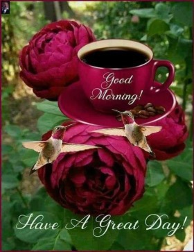 - Good Morning