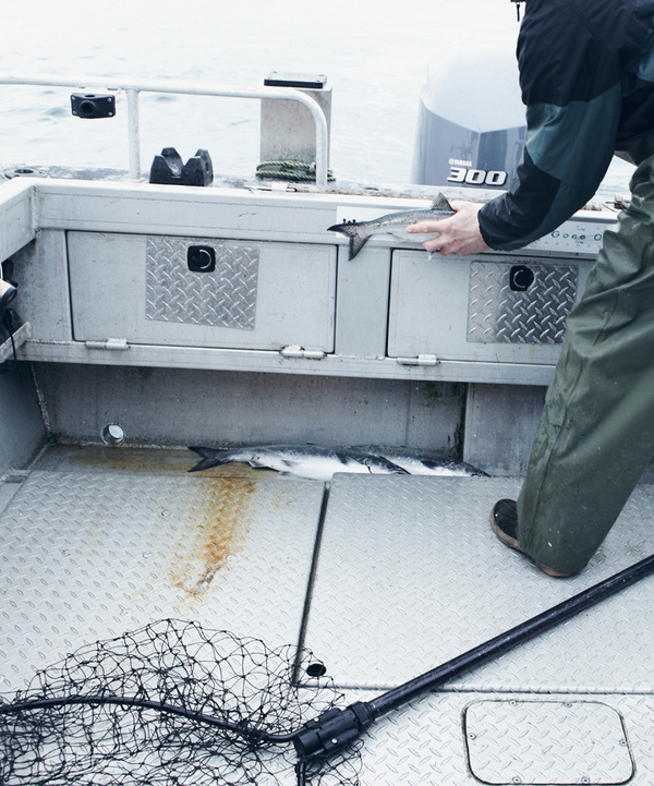 HG | forty sixth at grace | british columbia #photography #fishing #boat