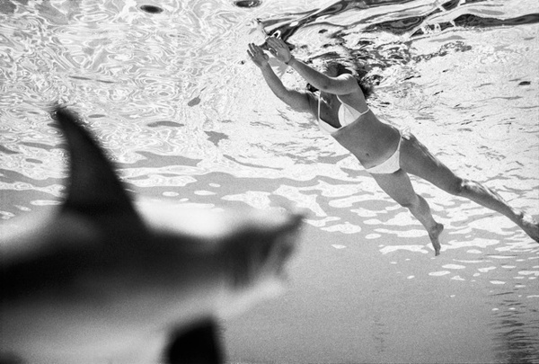 Damion Berger, Monday, October 8, 2012 #photography