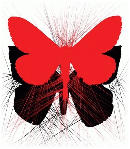 cacoppel.gif (GIF Image, 450x514 pixels) #butterfly #insects