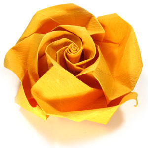 How to make an origami beauty rose (http://www.origami-flower.org/howto-origami-rose.php) #origami #rose #origamirose
