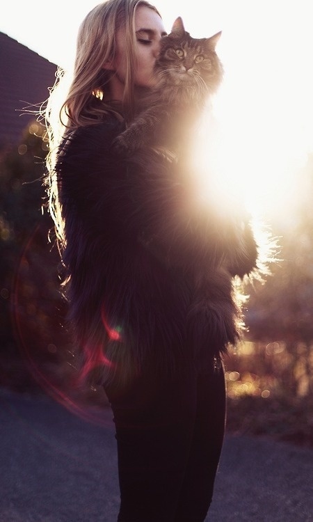 Likes | Tumblr #inspiration