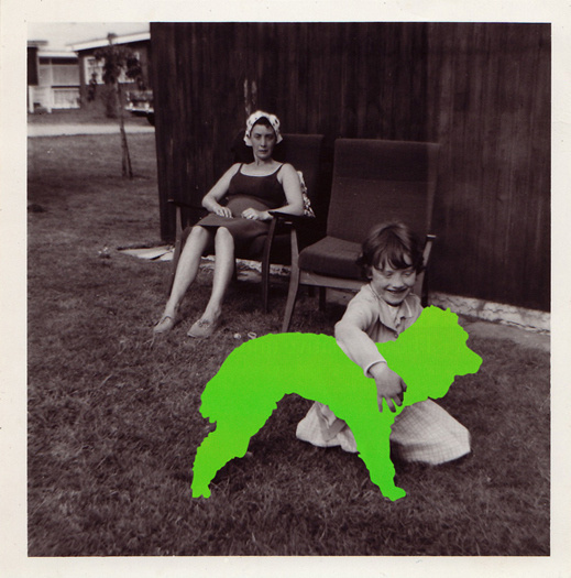 Hayley Warnham | PICDIT