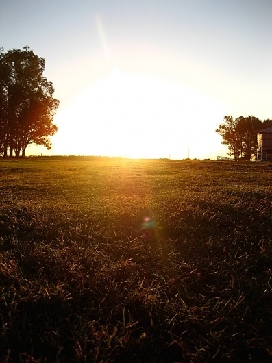landscapes : ledezign #field #argentina #landscape #photography #countryside #sunset