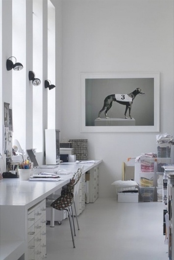Baubauhaus. #interior #creative #white #office #design #dog