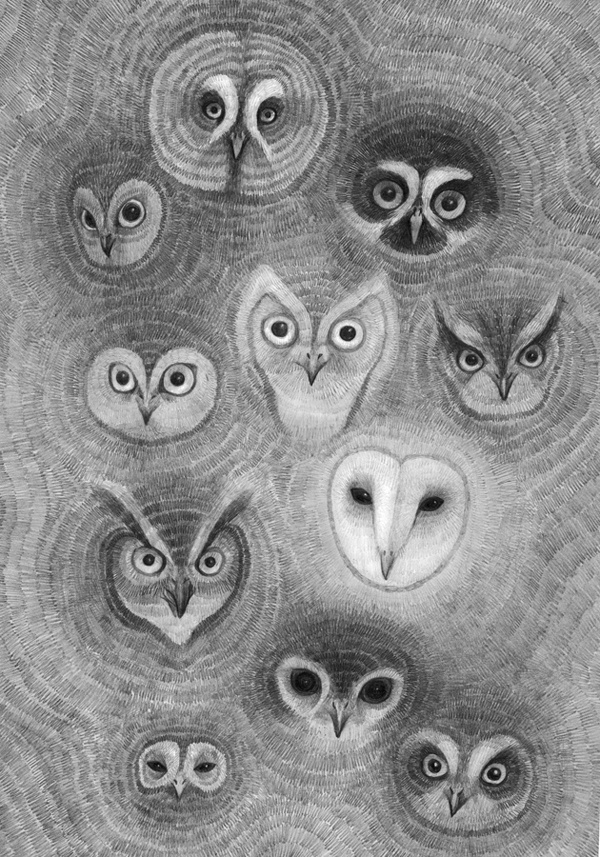 Drawings : Orkacollective #draw #owl