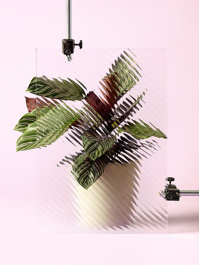 Channeling the Summer Vibes Still Life Editorial | Trendland