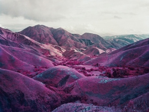 splitending #ektachrome #mosse #congo #richard #landscape #photography #infrared