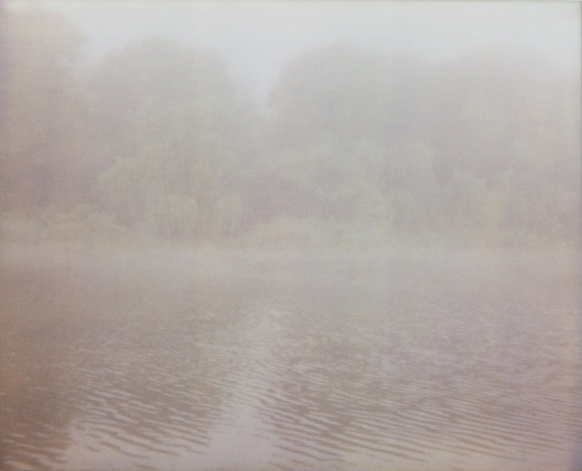 fieldguided — photographic print, fog 1, 6x8 #fog #photographic #print #feild #guided