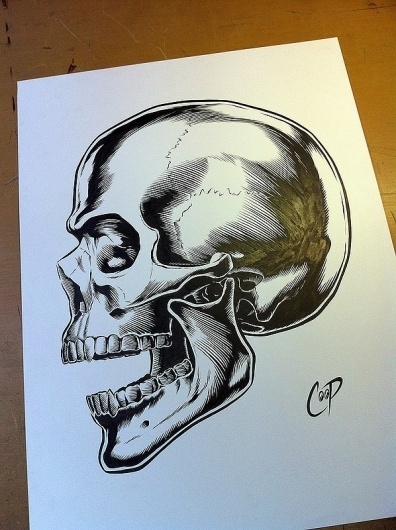 Positive Ape Index #illustration #coop #skull