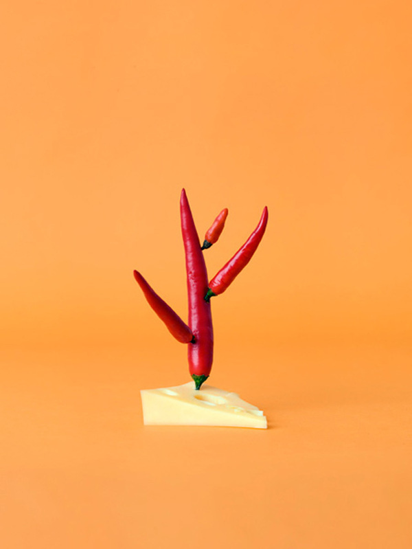 Mr Kaktus by Carl Kleiner #background #colour