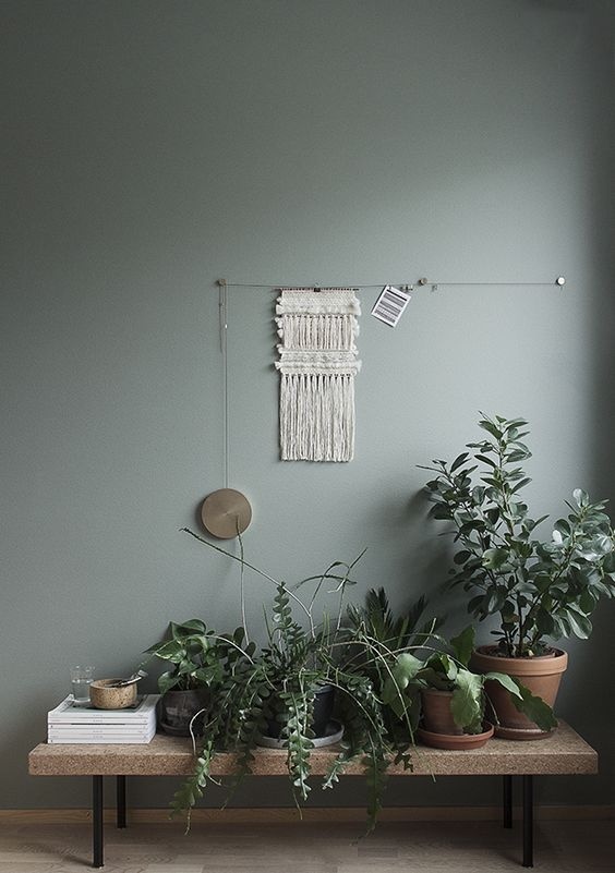 #plants #interior