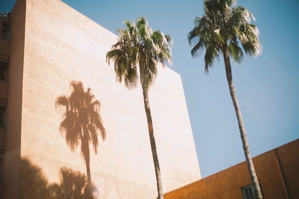 Photography by Julia Nimke (16)