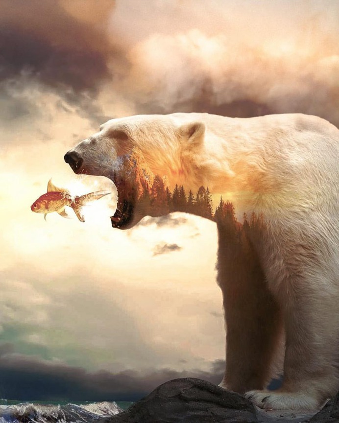 Dreamlike Photo Manipulations by Zenja Gammer