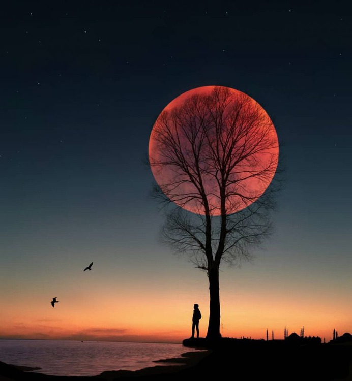 Surreal and Dreamlike Photo Collages by Abdullah Evindar