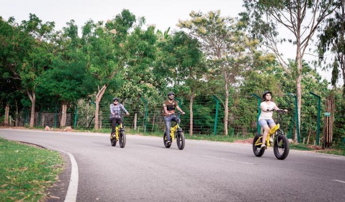 Take a short-break from the crowded Bangalore-life for a scenic and culturally rich experience in Mysore. Explore Mysore and along with it, a new mode of transport this time – easy and eco-friendly electric bikes. . . . #letsblive #eco #tours #ebikes #discovery #travel #instatravel #wanderlust #swadesdarshan #funoverfuel #goO2noCO2 #moresmileslesssweat #fun #ev #sustainabletourism #ecotourism #mysore #mysorediaries #mysorestyle #mysoretourism #karnataka #mysoreinaday