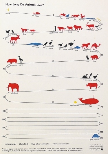 We Love Infographics — How long do animals live? by Otto Neurath #dataviz #infographics #otto #we #illustration #isotype #love #science #neurath