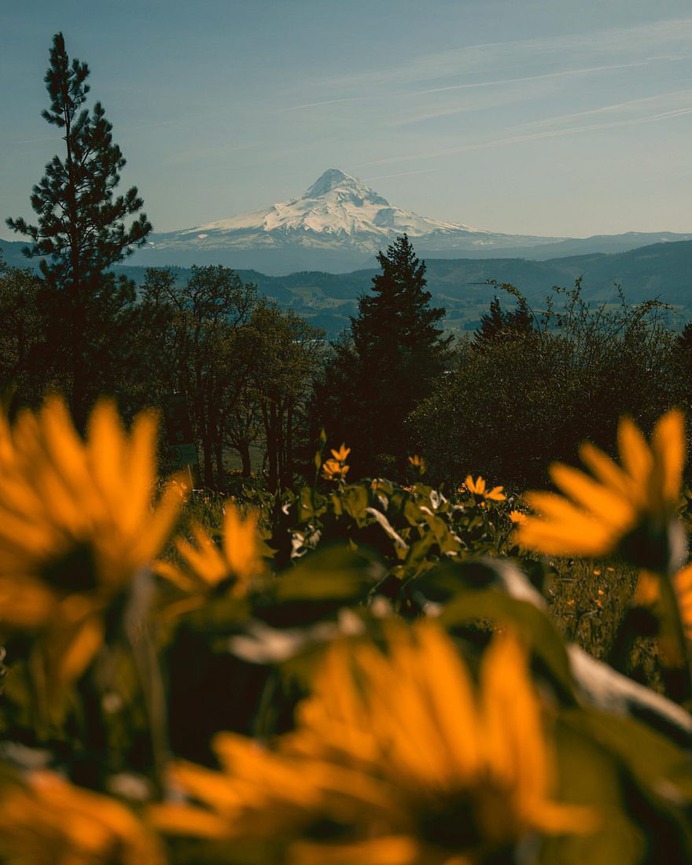 Magical Outdoor Landscapes of Oregon by Nicholas Steven