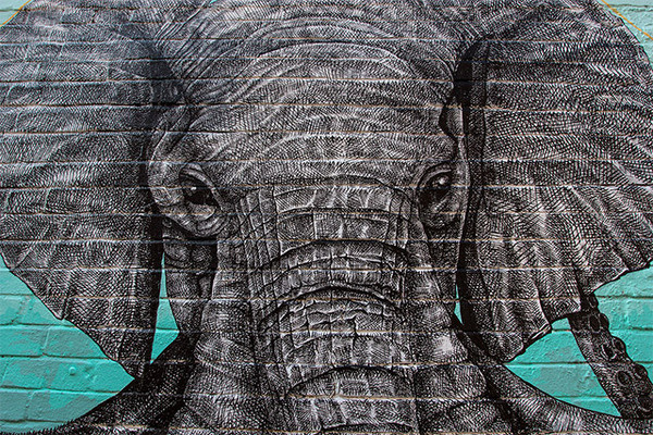 An Elephant Octopus Mural on the Streets of London by Alexis Diaz #graffiti #octopus #elephant #illustration #art #street