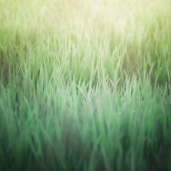 Photographer Laura Vanzo #inspiration #photography