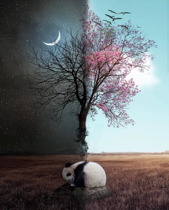 Creative and Dreamlike Photo Manipulations by Natacha Einat
