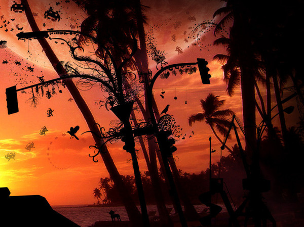 scarinteractive.com Images #illustration
