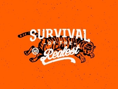 Screen_shot_2013-09-15_at_3.53.12_pm #classic #orange #illustration #nature #tiger #animal