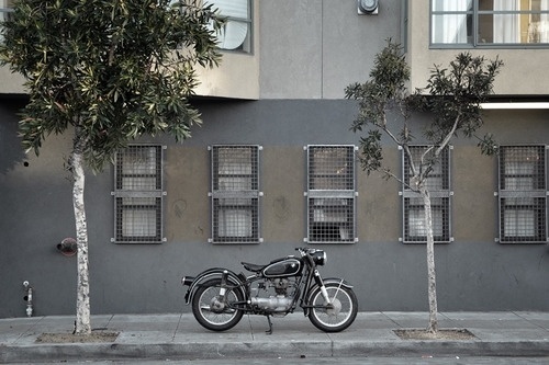 tumblr_l39e6iWhs61qau50i.jpg (500×333) #black #motorcycle #rides