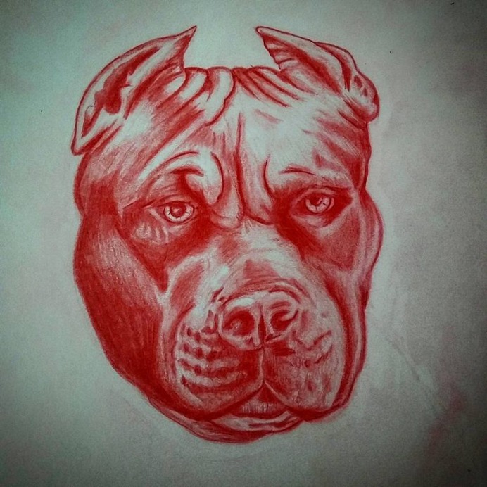 Dog Tattoos