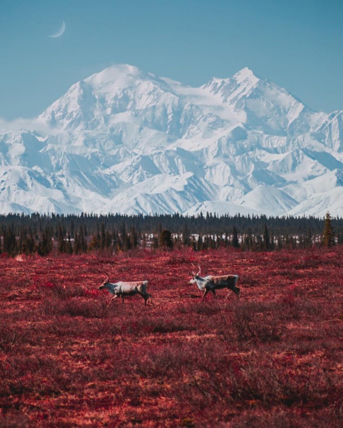 Breathtaking Natural Landscapes in Alaska by Patrick Thun