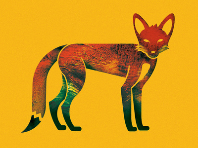 Fox Illustration #illustration #fox #perryman