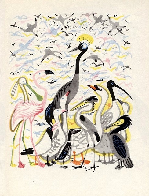 Animalarium: The Rainbow Book #birds #illustration